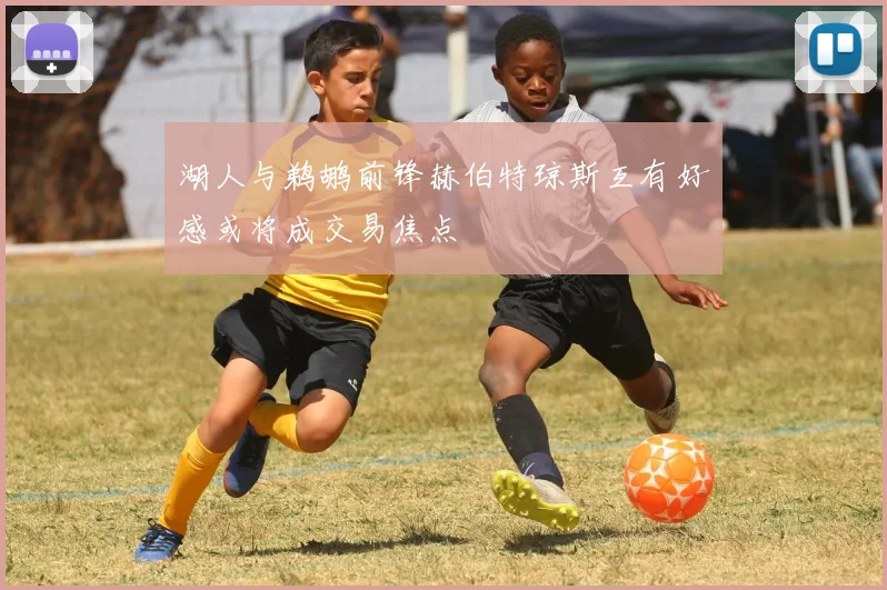 湖人与鹈鹕前锋赫伯特琼斯互有好感或将成交易焦点