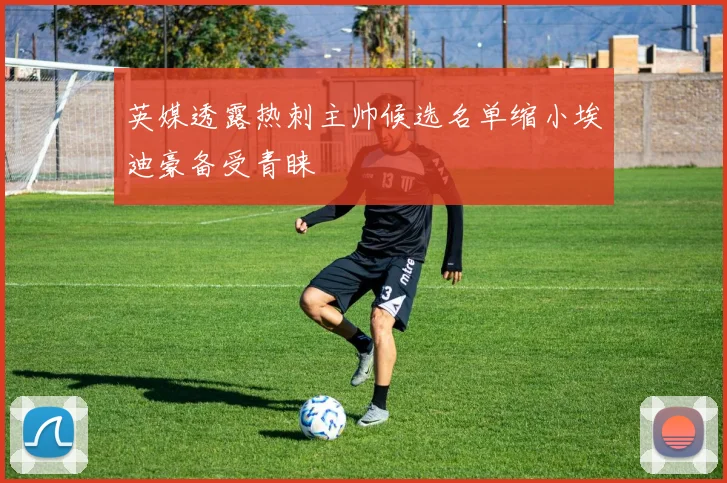 英媒透露热刺主帅候选名单缩小埃迪豪备受青睐