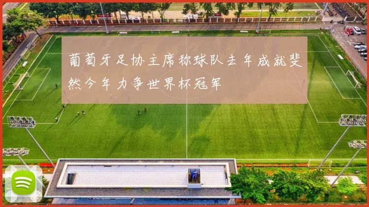 葡萄牙足协主席称球队去年成就斐然今年力争世界杯冠军