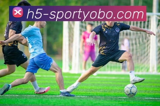 多媒体互动体验