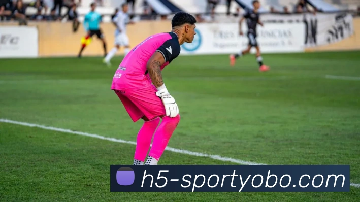 yobo体育APP 体育赛事宣传图